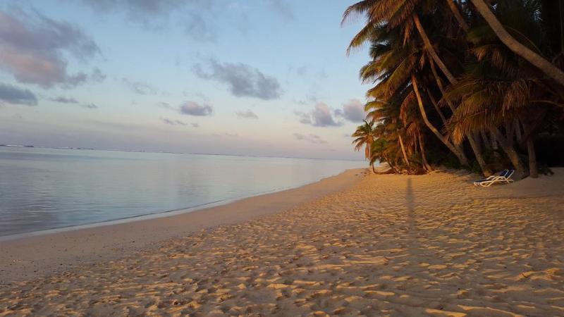 Little Polynesian Resort Раратонга Экстерьер фото